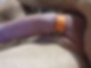 Sex