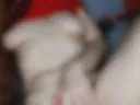 Immediately after orgasm
