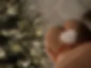 SEX