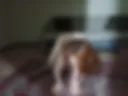 НОМЕР 1