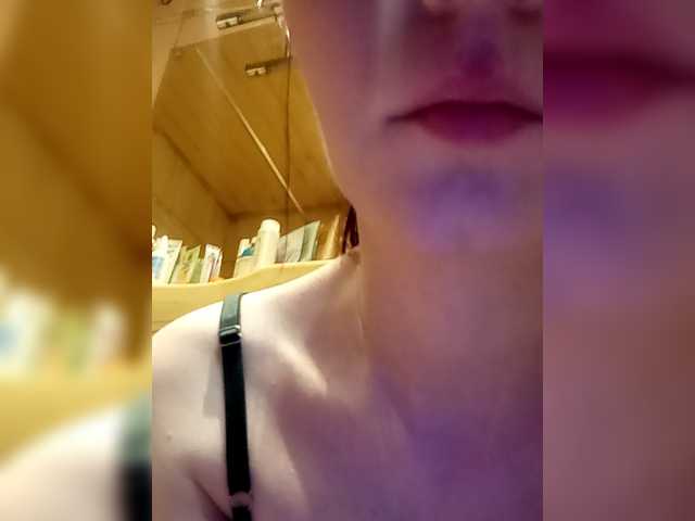 totodasha