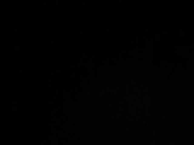 dark-secret