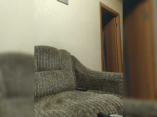 Aligator0453