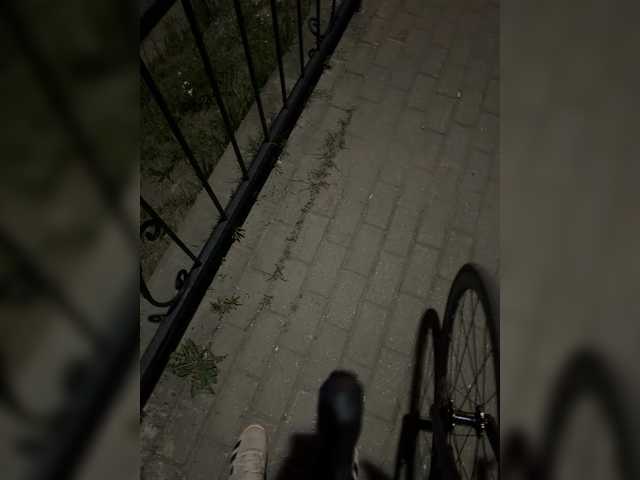 aniram2221