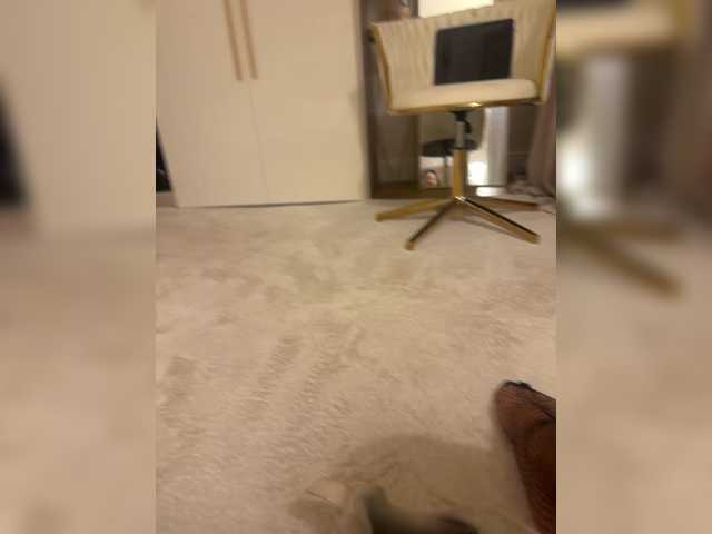 aniram2221