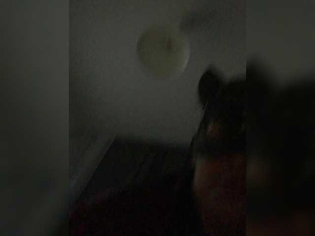 PolinaLike12
