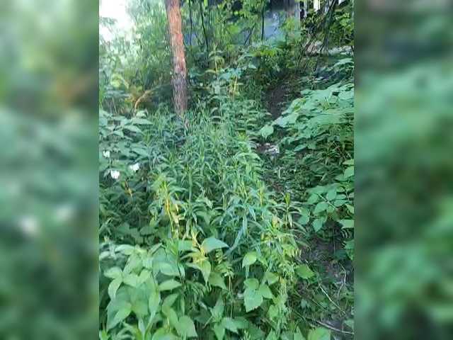 Hotpepper-Sweetpepper