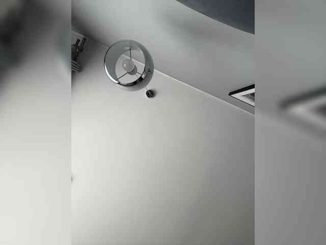 babyymommyanddadyy live show