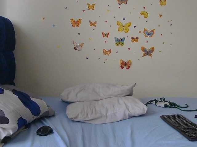Watch this webcam