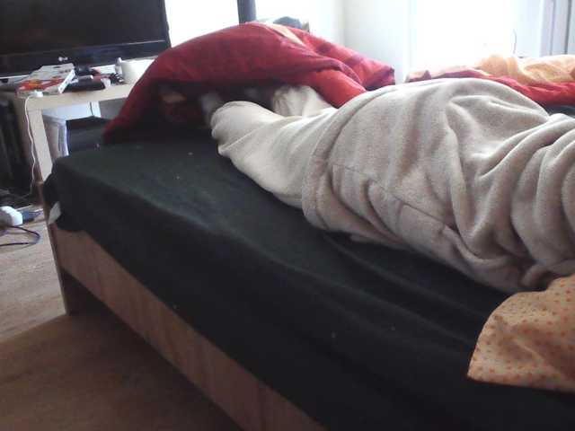 LilyLuxeXO