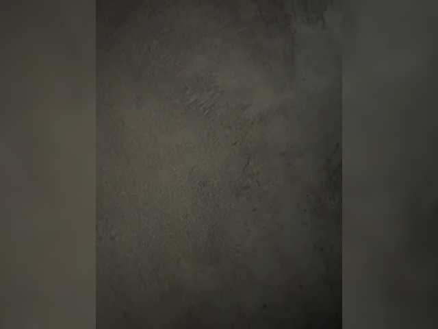 Foxi24
