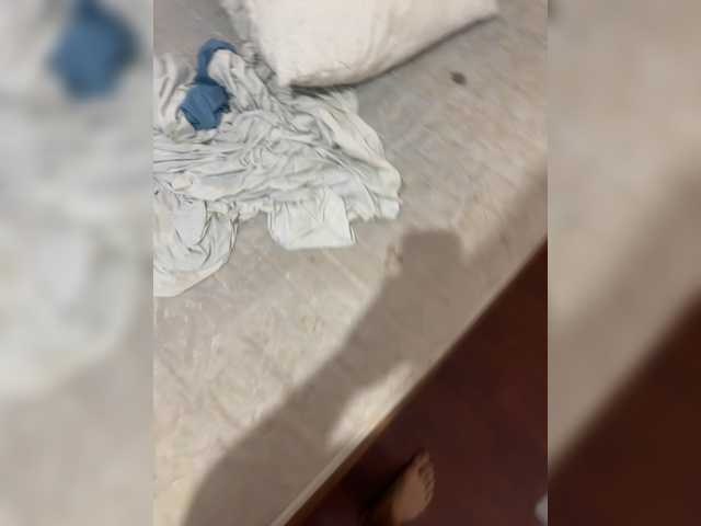 Foxi24
