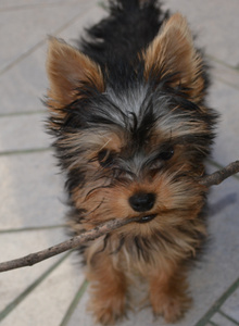 BASTUNA My Photos photo 114044