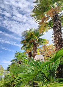 hiphiphop My Photos photo 9913971