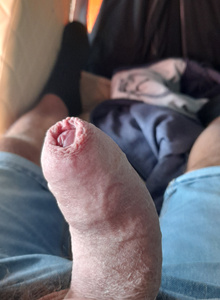 slamacek My Photos photo 11732211