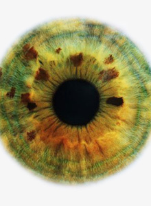 sibas-xxl My Photos photo 138622