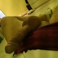dedcamshot
