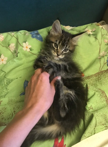 AVAROS я и мои друзья..) photo 4287158