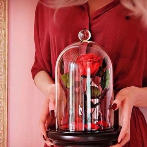rose in glass.....rose in a flask