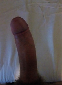 Cnox My Photos photo 3573549