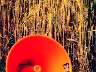 My Photos