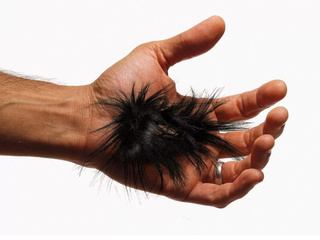 hairy hands of a wanker