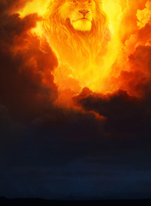 --Myqpaca-- My Photos photo 10558243