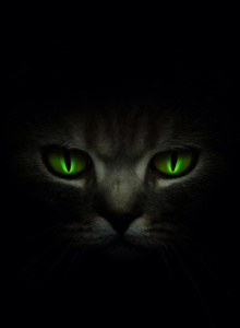 criscrispis My Photos photo 6089779