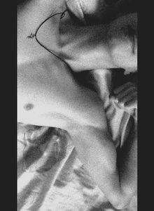 Fotografie #3966320