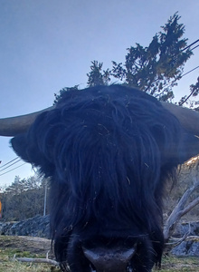 stianw My Photos photo 9422141