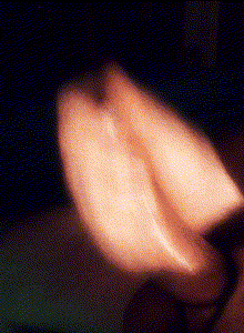 15cm_rate_me_C2C My Photos photo 11117616