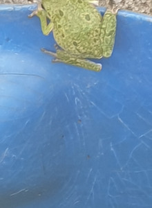 XMeRiDiOX My Photos photo 14558229