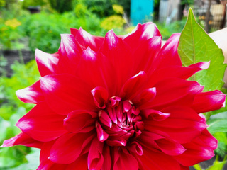 My Photos