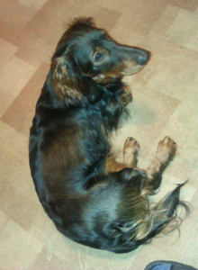 1stasim My Photos photo 583560