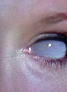 malcolm78 My Photos photo 821823