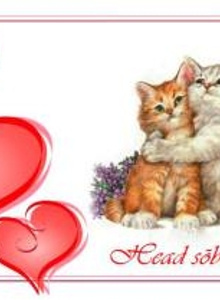 vgutht2 My Photos photo 756850