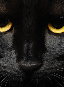 Cirrus My Photos photo 12685155