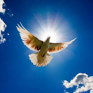 Let's give each other light!