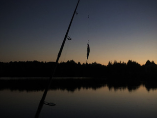 My Photos