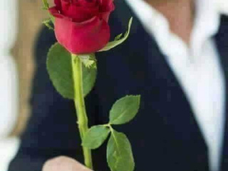 My Photos