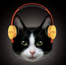 SI-FM