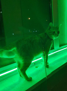 zorg8000 some photo 14881818