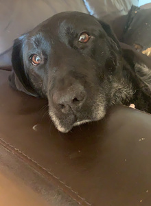 johnnydeparted My Photos photo 5002124