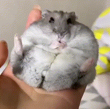 __Hamster__