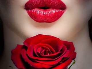 My Photos