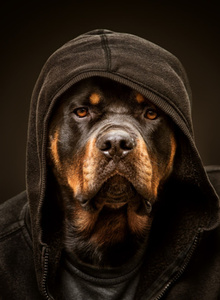 Fotografie #7123276