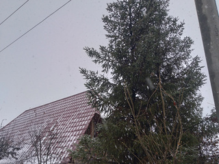 Зимний отдых, природа, банька, кайф