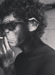 fedrek My Photos photo 2070494