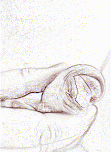 TORONA My Photos photo 15093395