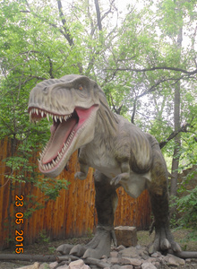 AnDrEi86Al My Photos photo 903796